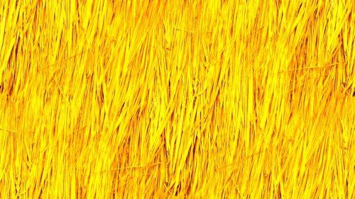 Yellow Seamless Straw Background