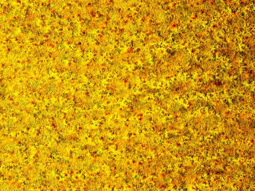 Yellow Wallpaper Background