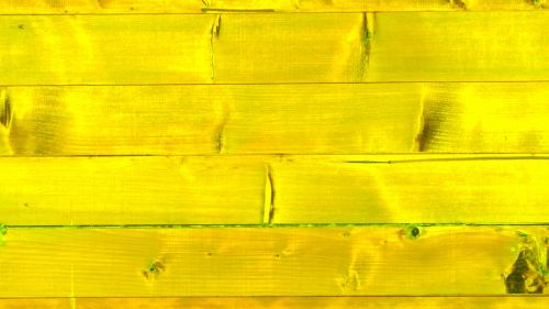 Yellow Wood Background