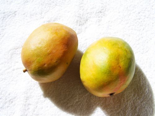 yellowish-green mango fruit food