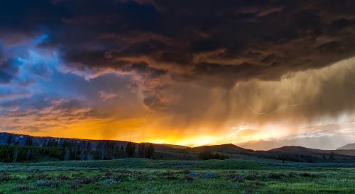 yellowstone national park wyoming