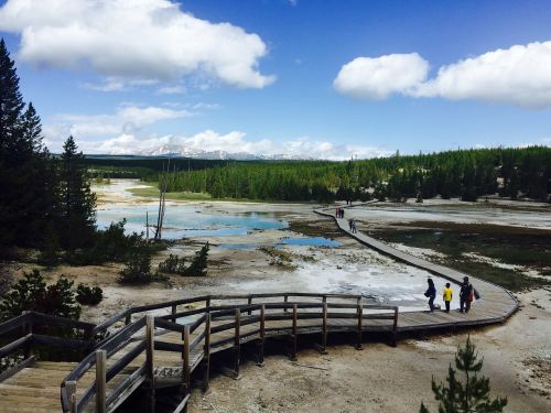 yellowstone national park