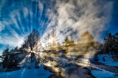 yellowstone national park winter