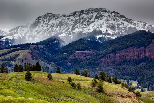 yellowstone national park wyoming