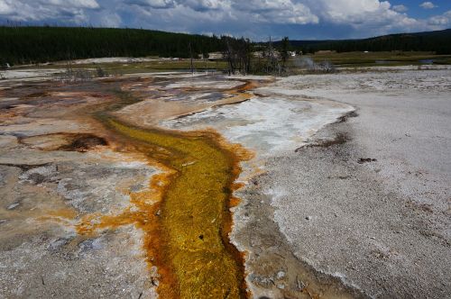 yellowstone geezer park