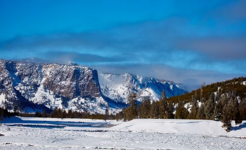 yellowstone national park wyoming