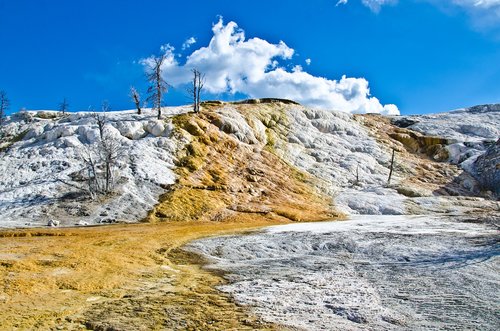 yellowstone  mammoth hot springs  scenic