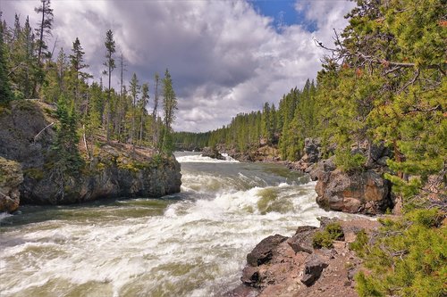 yellowstone  river  rapids