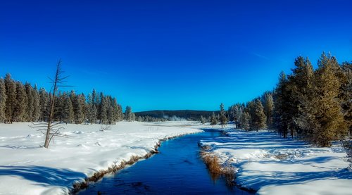 yellowstone  national park  wyoming