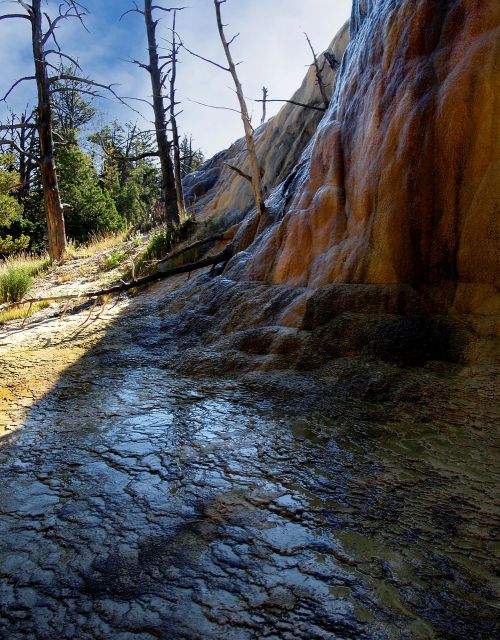 yellowstone national park wyoming