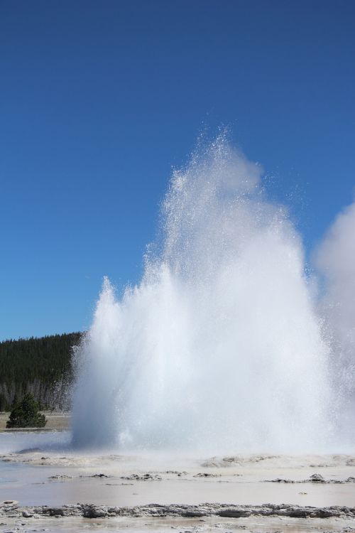 Yellowstone Geyser