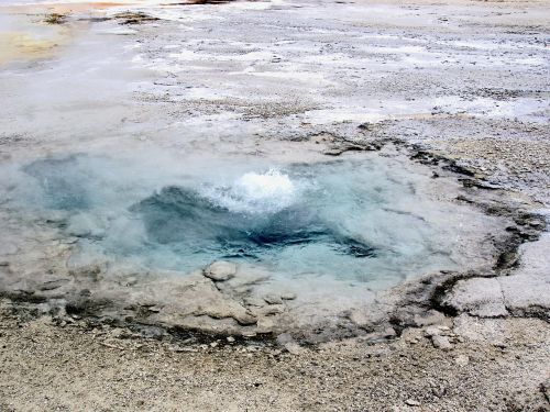 yellowstone national park wyoming usa