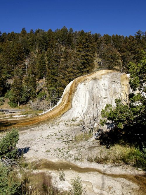 yellowstone national park wyoming usa