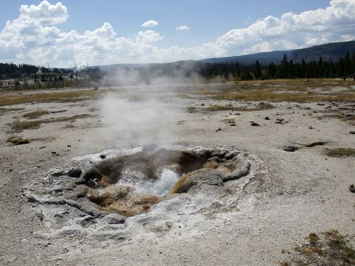 yellowstone national park wyoming usa