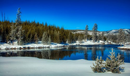 yellowstone national park  wyoming  america