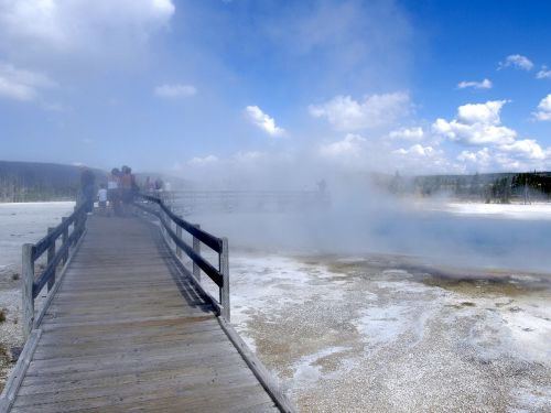 yellowstone national park wyoming usa