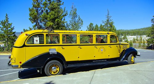 yellowstone park yellow bus  bus  antique
