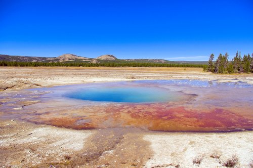 yellowstone's opal pool  thermal  yellowstone