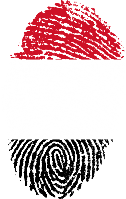 yemen flag fingerprint