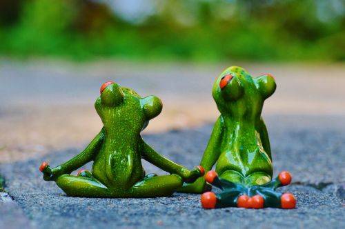 yoga frogs relaxed