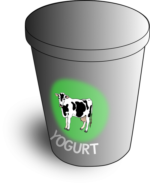 yoghurt yogurt yoghourt