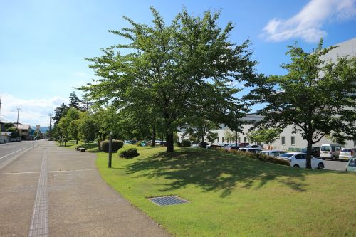 yonezawa in the early summer tree-lined avenue