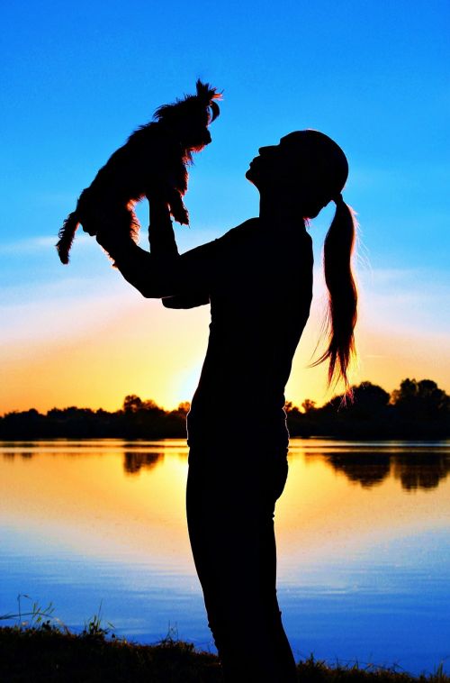 yorkshire terrier woman silhouette