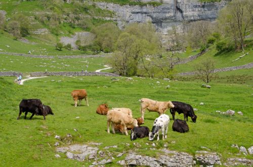 Yorkshire Dales