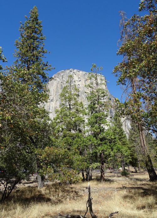 yosemite national park el capitan