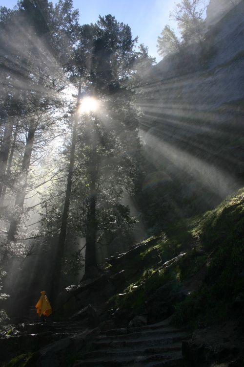 yosemite nature hiking