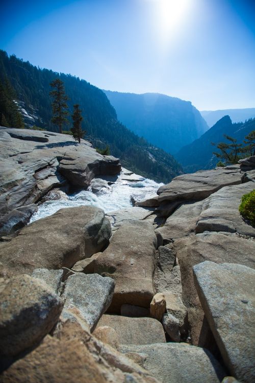 yosemite mountains forest