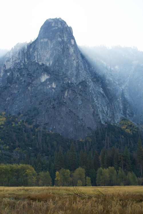 yosemite mist field