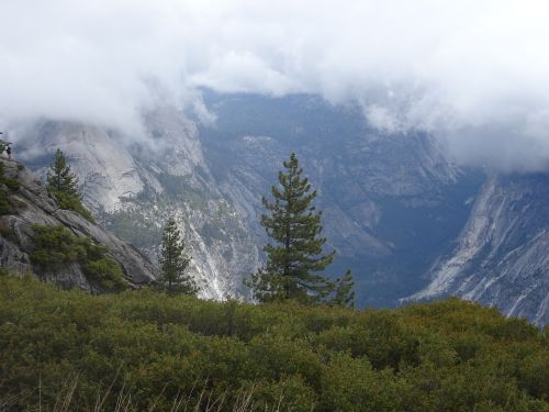 yosemite fog yosemite national park