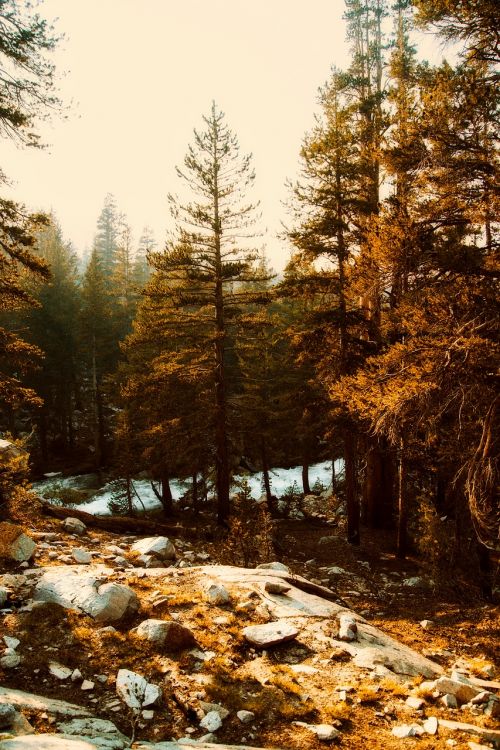 yosemite national park california