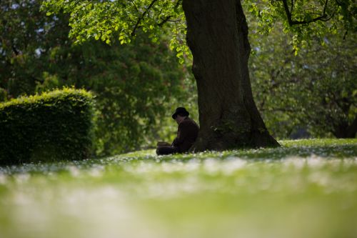 Young Man Read Book