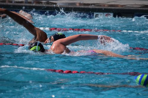 young swimmers free style swim meet