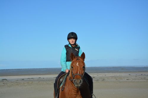 young woman rider horse horseback riding