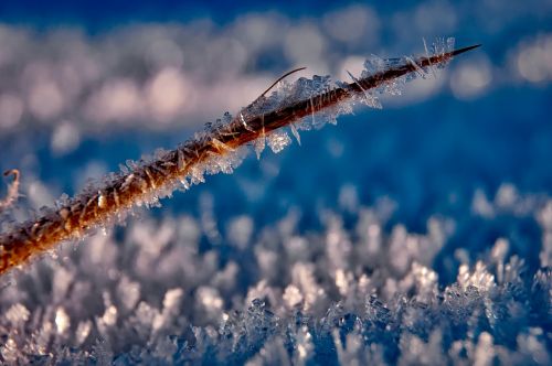 ice hoarfrost frost
