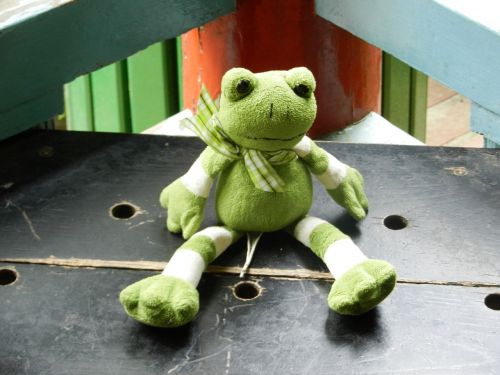 żabka the frog the mascot