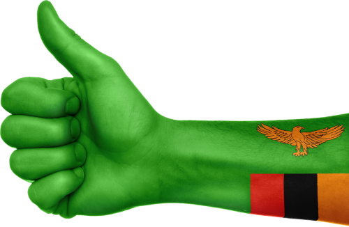 zambia flag hand