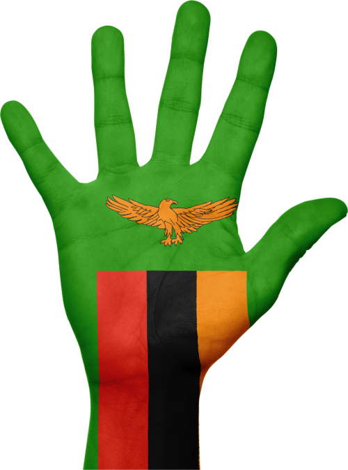 zambia flag hand