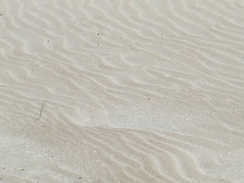 Sand Texture