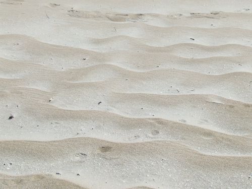 Sand Texture