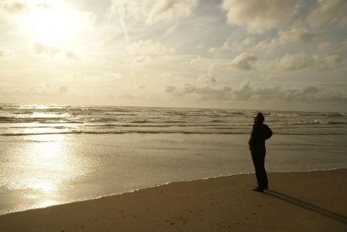 zandvoort human person