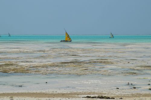 zanzibar tanzania africa