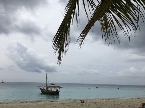 zanzibar ocean africa