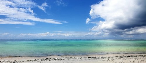 zanzibar  seaside  coastal