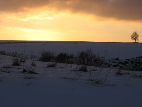 Sunset On The Snow