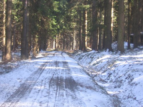 Snowy Road