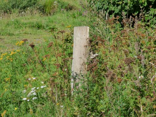 Fence Nature